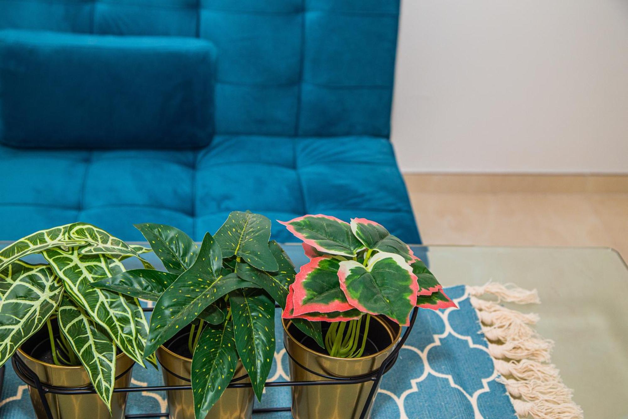 Apartamentos Centro Sandoval Κόρδοβα Εξωτερικό φωτογραφία
